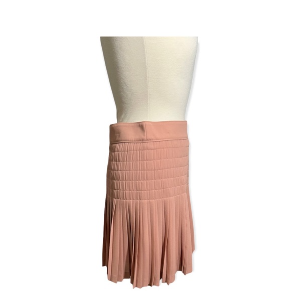 J.Crew Pleated Blush skirt - Picture 5 of 9